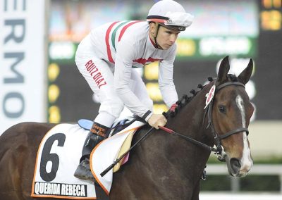 Querida Rebeca