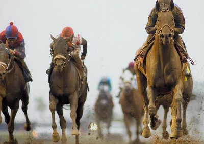 Invasor Donn Handicap