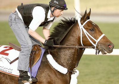 Invasor Dubai World Cup