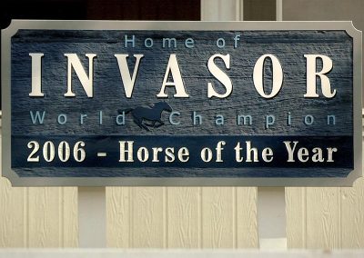 Invasor 2006 Horse of the Year
