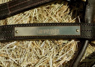 Invasor